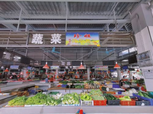 南海丹灶石聯社區 地改清河涌，路網煥新顏，商業綜合體引領華麗大變身